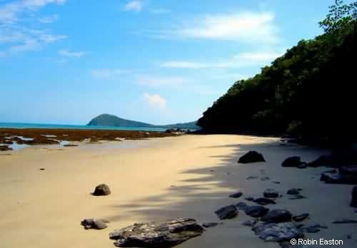 Cape Tribulation Beach by Robin Easton