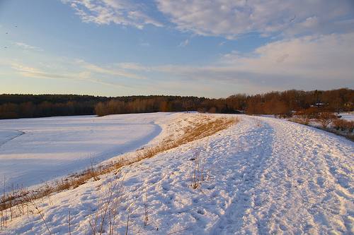 Fresh Snow - by Barbara L. Slavin